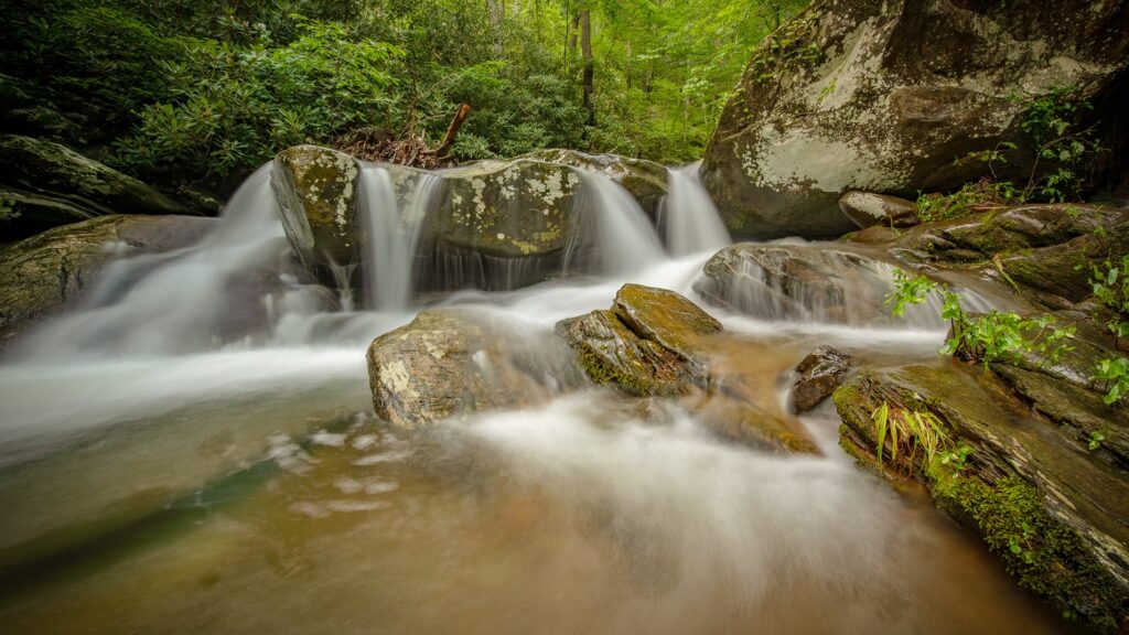 ellijay Ga waterfront properties for sale