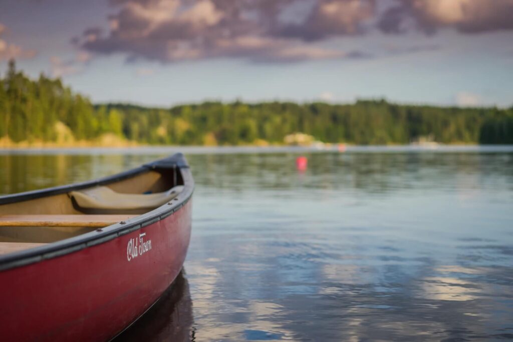 Lake Blue Ridge Homes For Sale