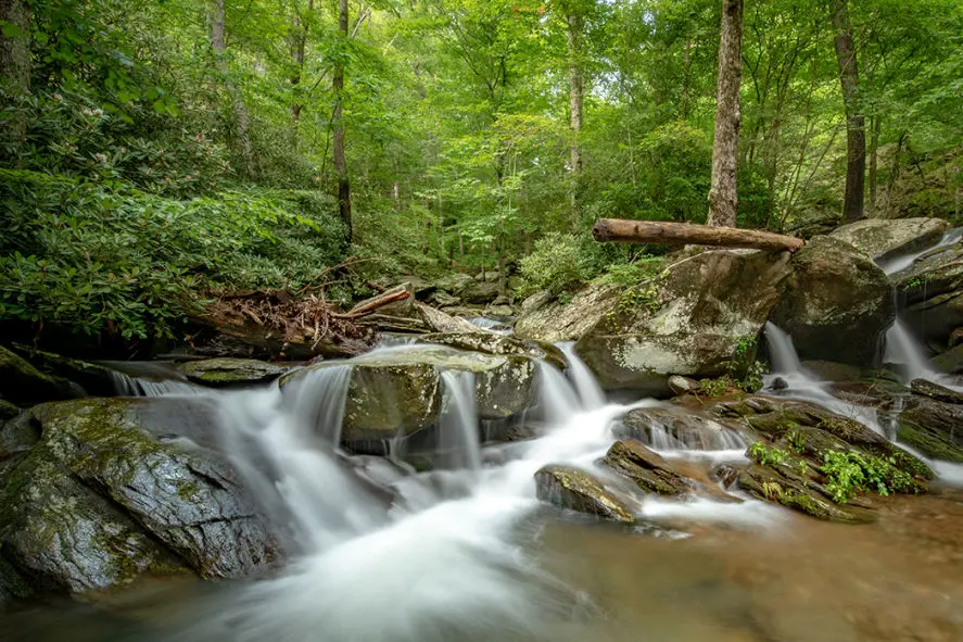 Suches Ga mountain cabins for sale .